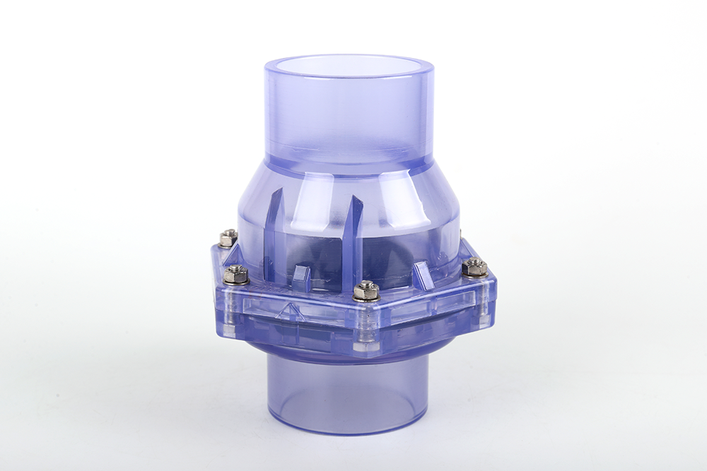 南通透明翻板式止回阀